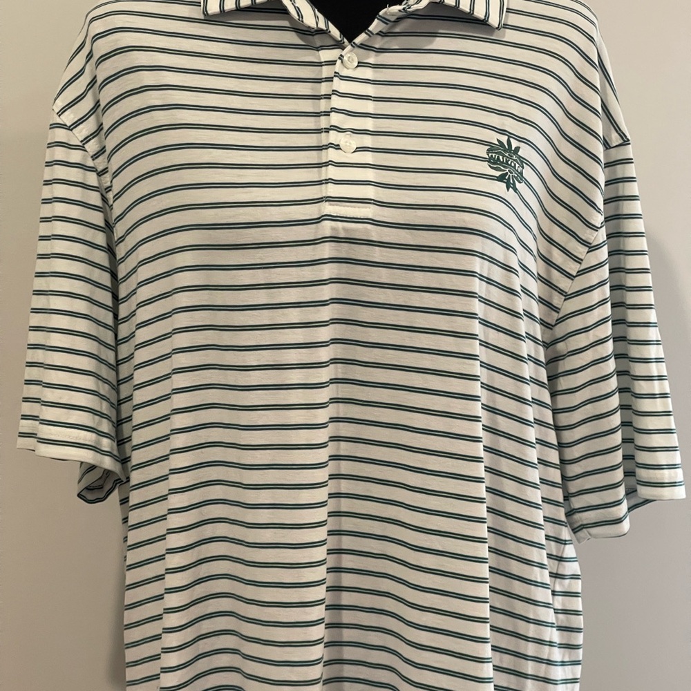 Oxford Golf L Striped Polo Shirt - Green and White‎ 417 - Picture 2 of 7